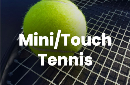 Mini/Touch Tennis